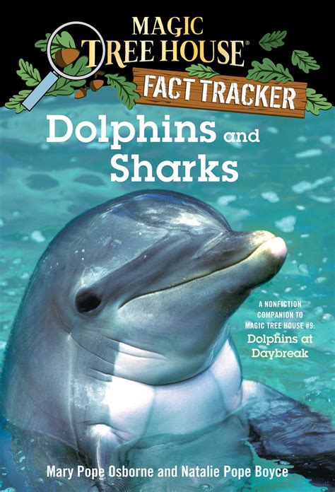 Discover the Importance of Conservation in Magic Tree House: Dolphins at the Break of Day